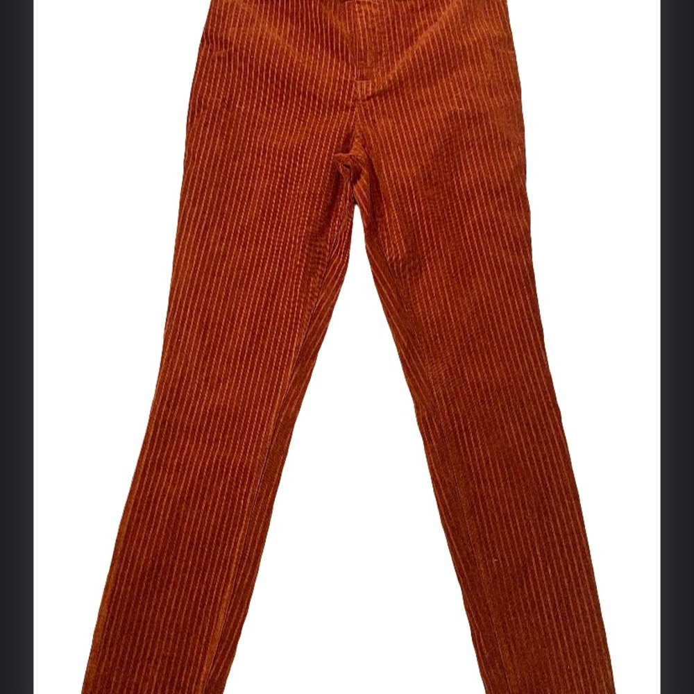 Indigo Rein Terracotta Pants